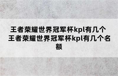 王者荣耀世界冠军杯kpl有几个 王者荣耀世界冠军杯kpl有几个名额